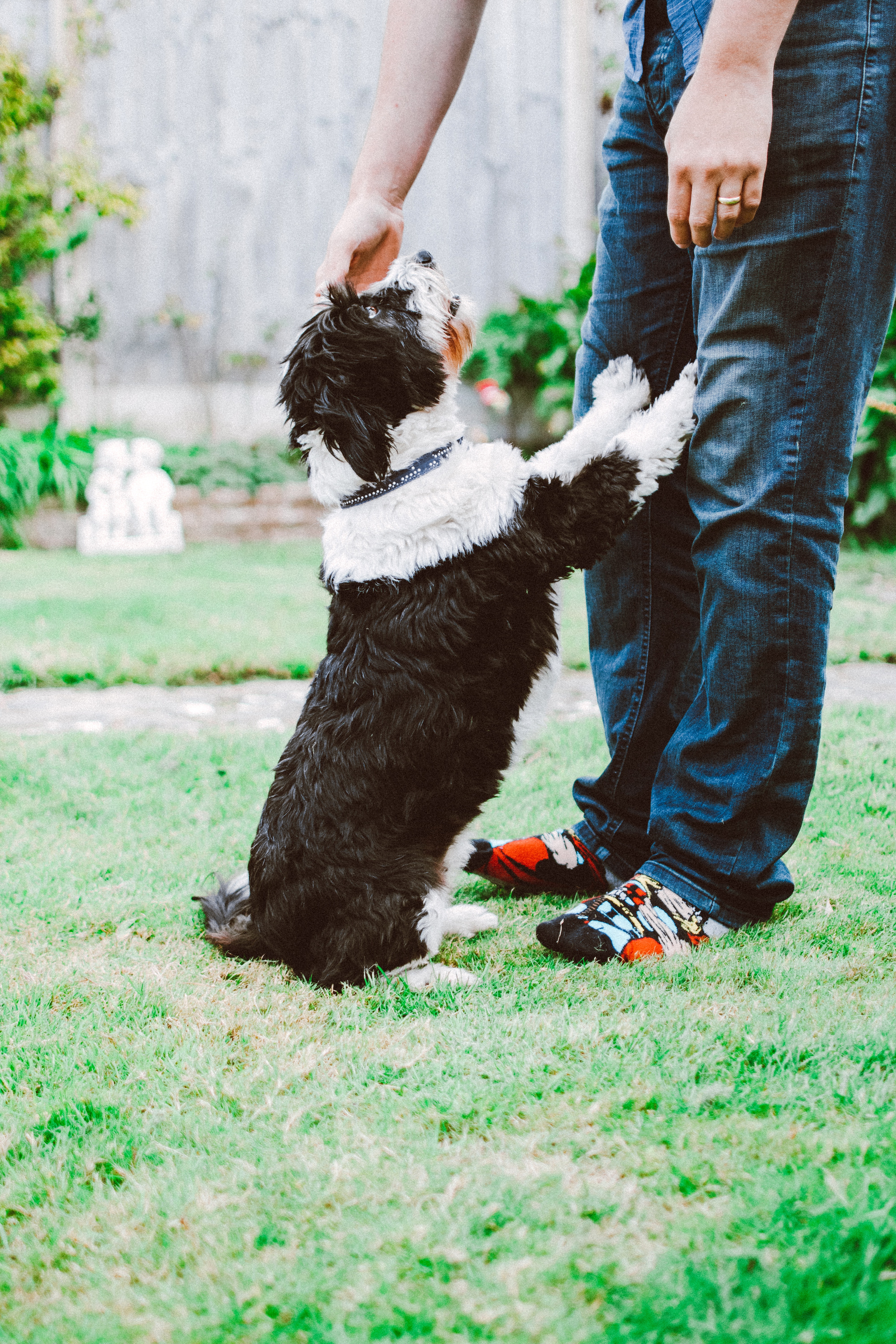 Jeff and Buster