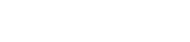 New Editions Consulting Inc. Company Logo